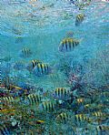 Underwater Paintings - Nature Art by Nansi Bielanski